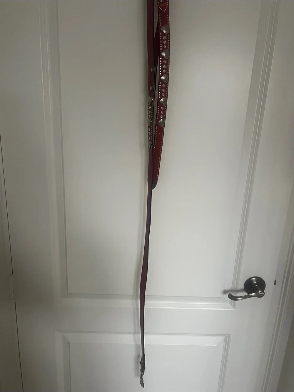 Equestrian grade Red Leather Dog Collar and Lead embellished. Sz L.